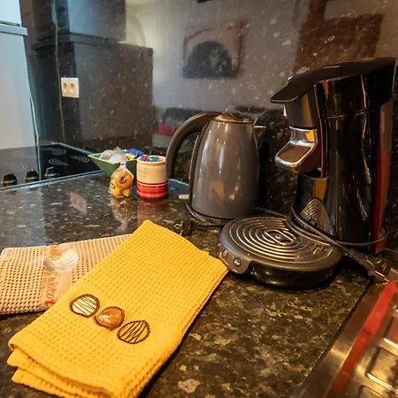 Schwendi - Quartier Petite Venise Apartman Colmar