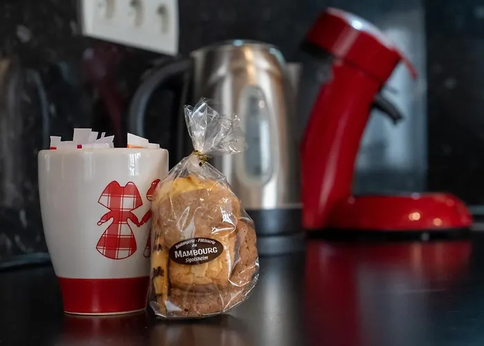 公寓 Schwendi - Quartier Petite Venise *