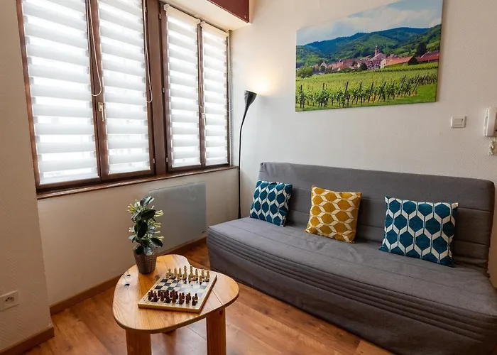 公寓 Schwendi - Quartier Petite Venise 科尔马