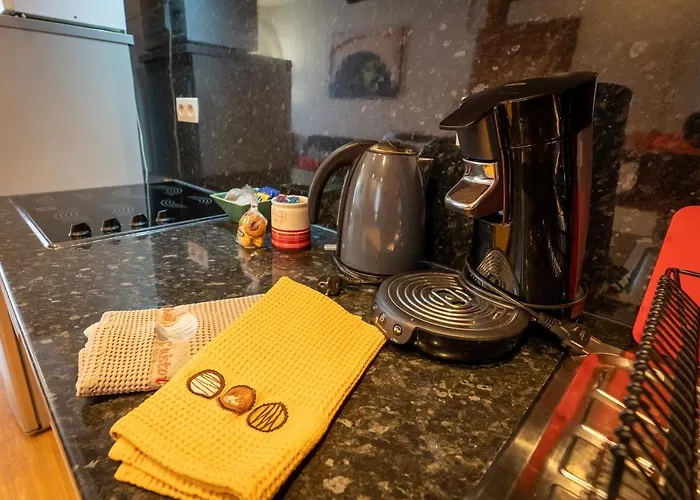 Schwendi - Quartier Petite Venise 公寓 科尔马