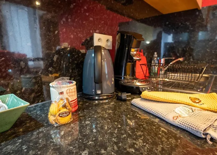 公寓 Schwendi - Quartier Petite Venise